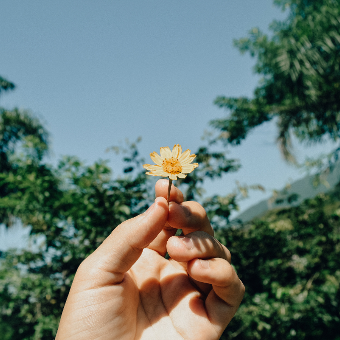 woman holding a yellow daisy by her fingertips in an outdoor park